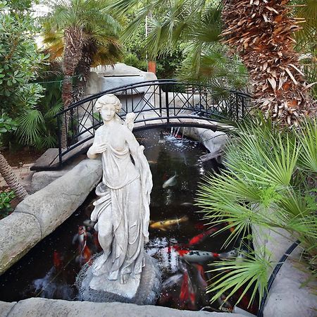 לימסול Olive Tree Apartments מראה חיצוני תמונה