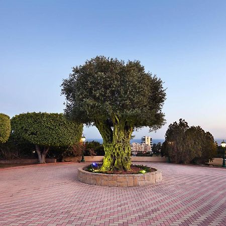 לימסול Olive Tree Apartments מראה חיצוני תמונה