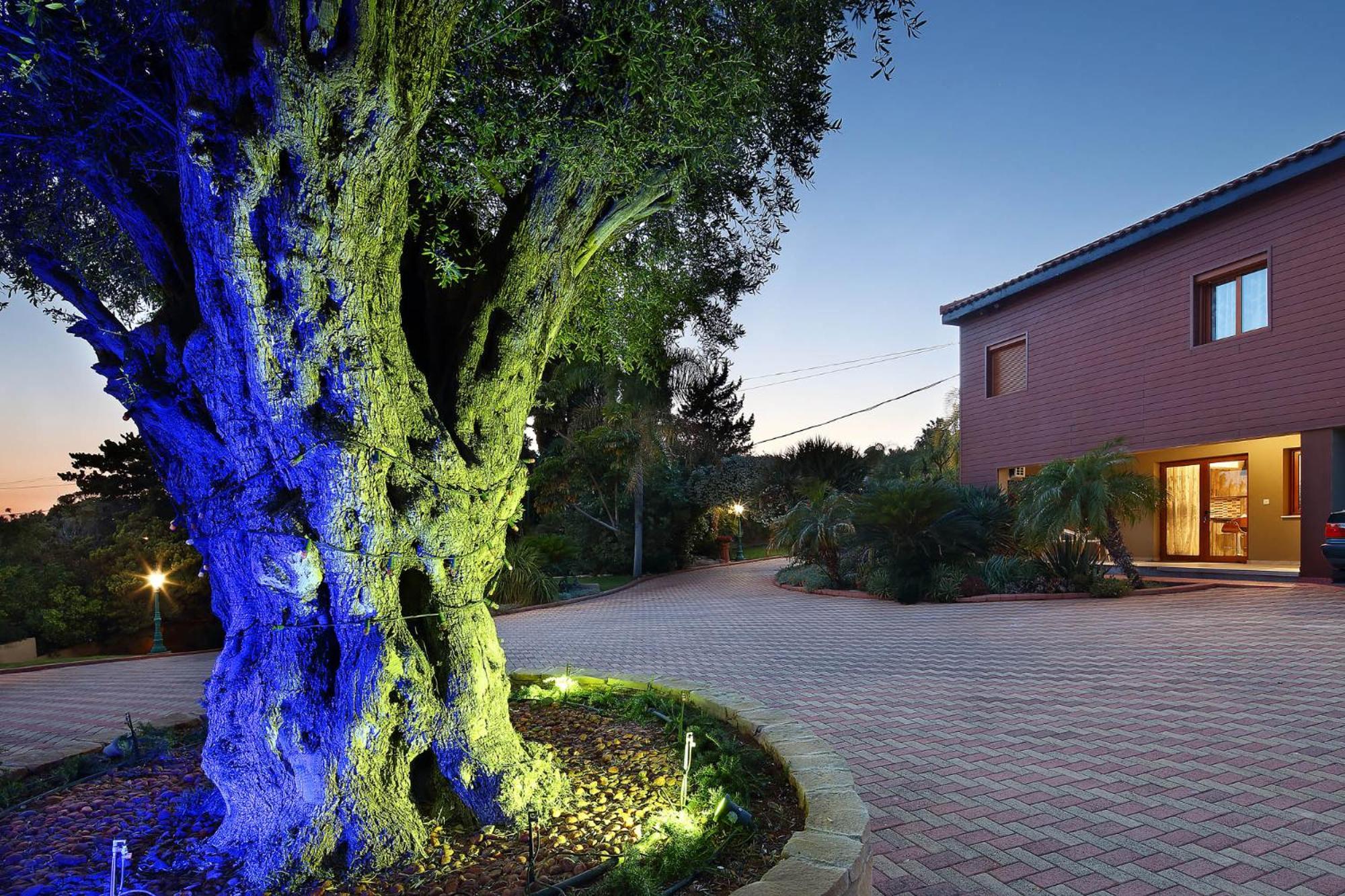 לימסול Olive Tree Apartments מראה חיצוני תמונה