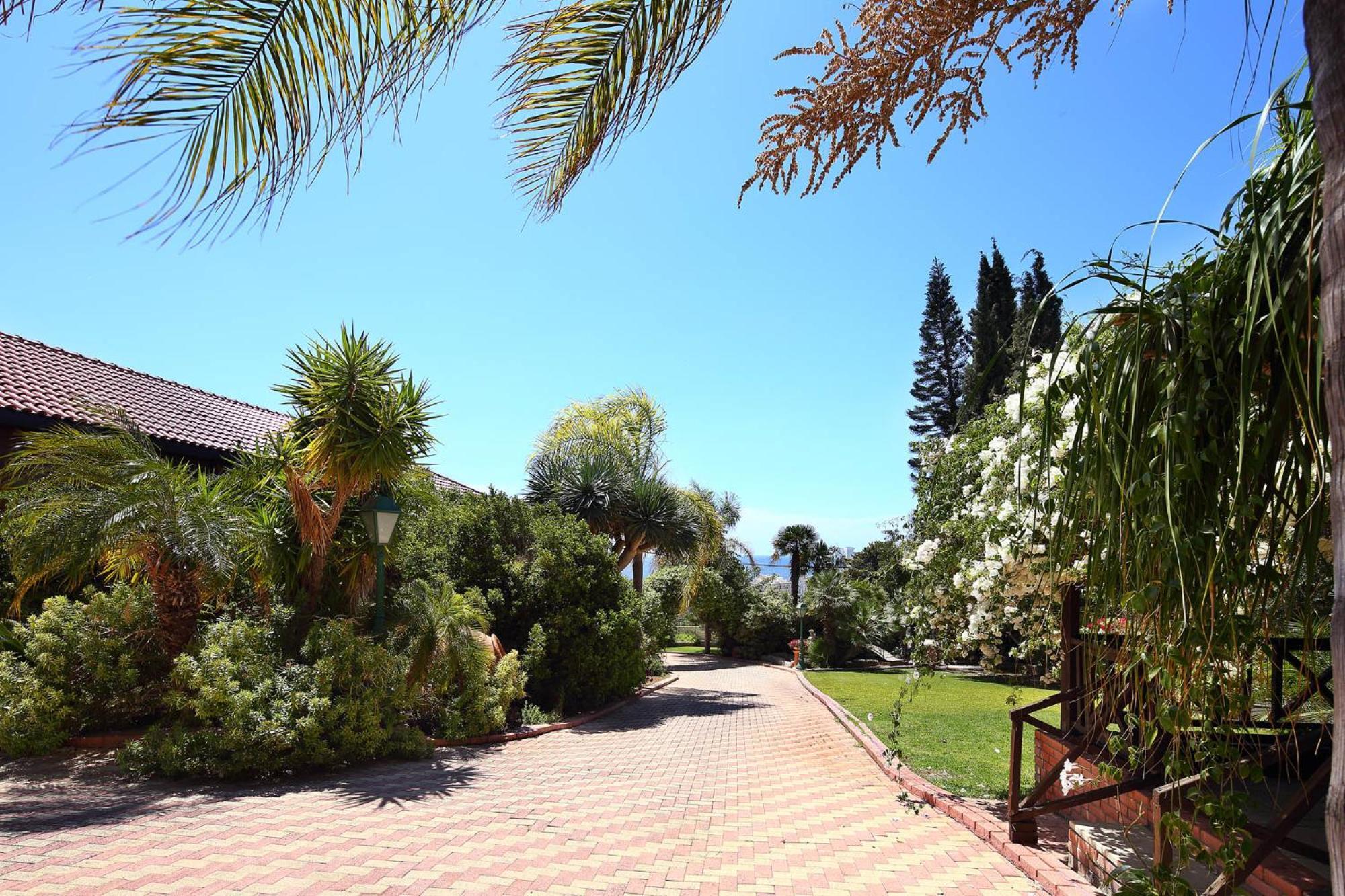לימסול Olive Tree Apartments מראה חיצוני תמונה