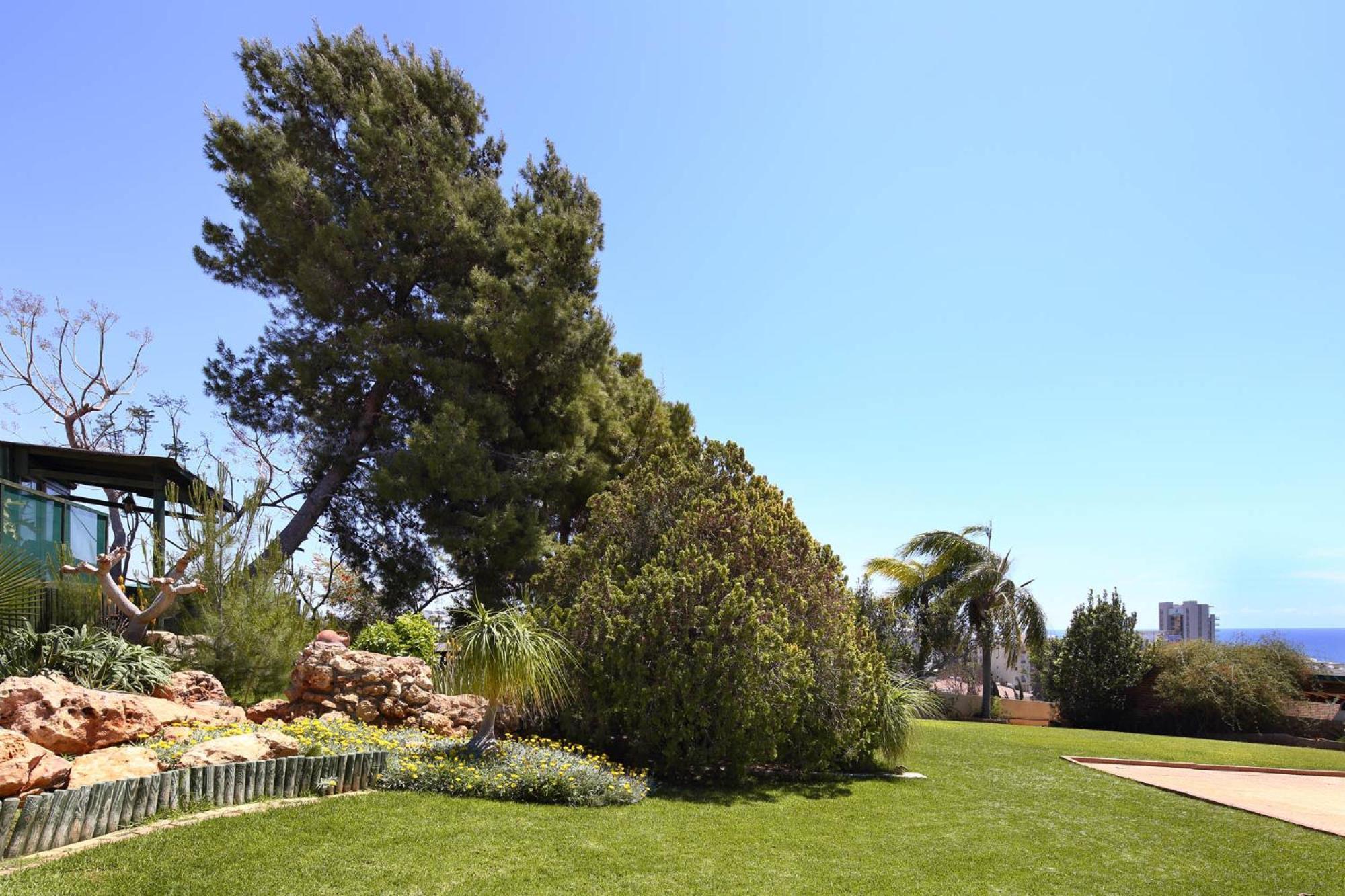 לימסול Olive Tree Apartments מראה חיצוני תמונה