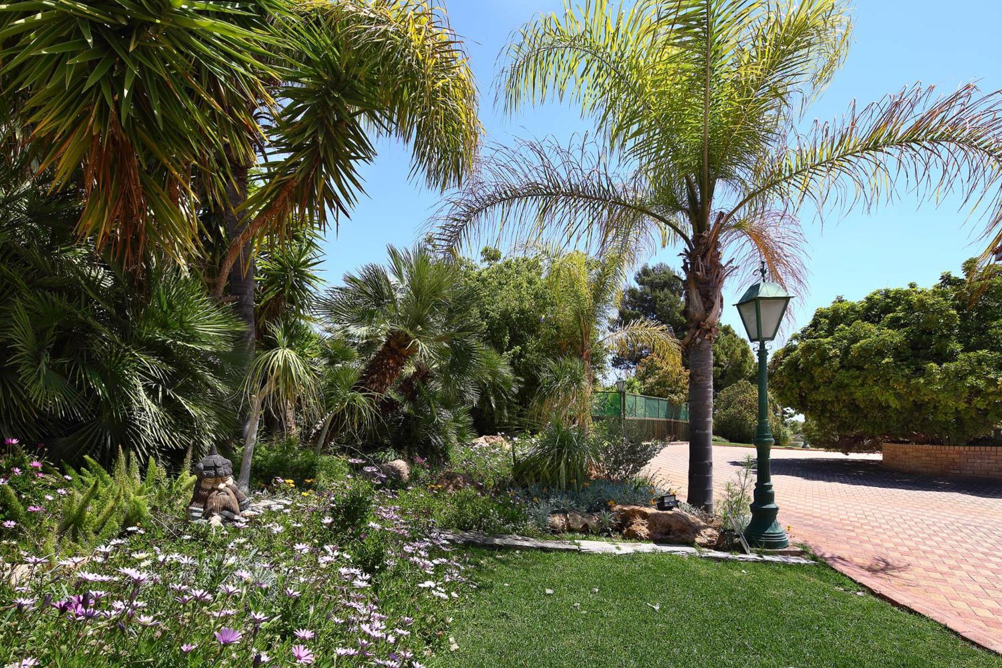 לימסול Olive Tree Apartments מראה חיצוני תמונה