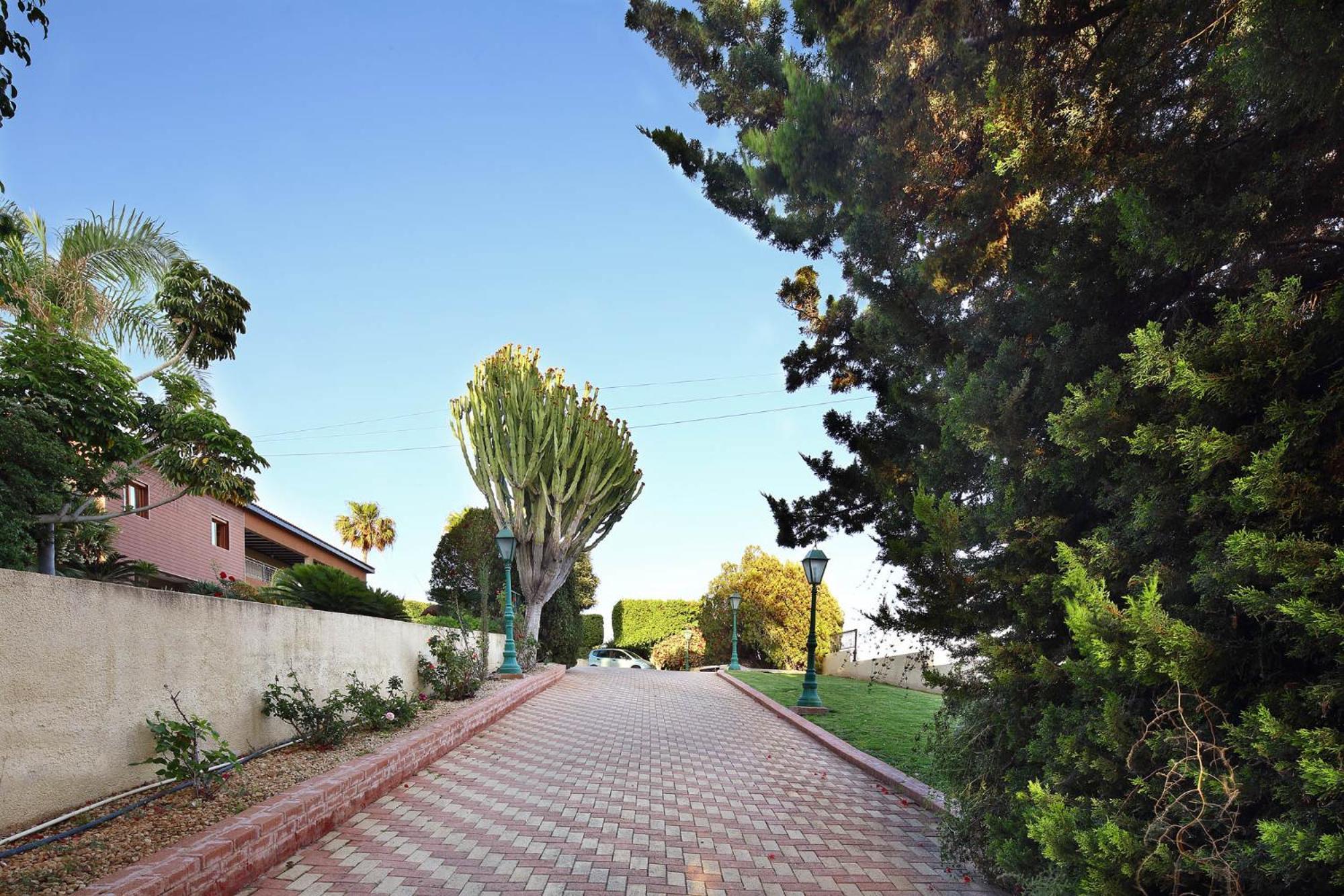 לימסול Olive Tree Apartments מראה חיצוני תמונה